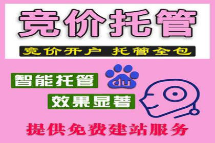 百度推广技巧：案例解析